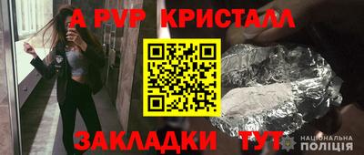 дмт Донской
