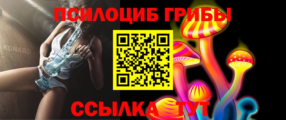 Псилоцибиновые грибы Psilocybe Дедовск